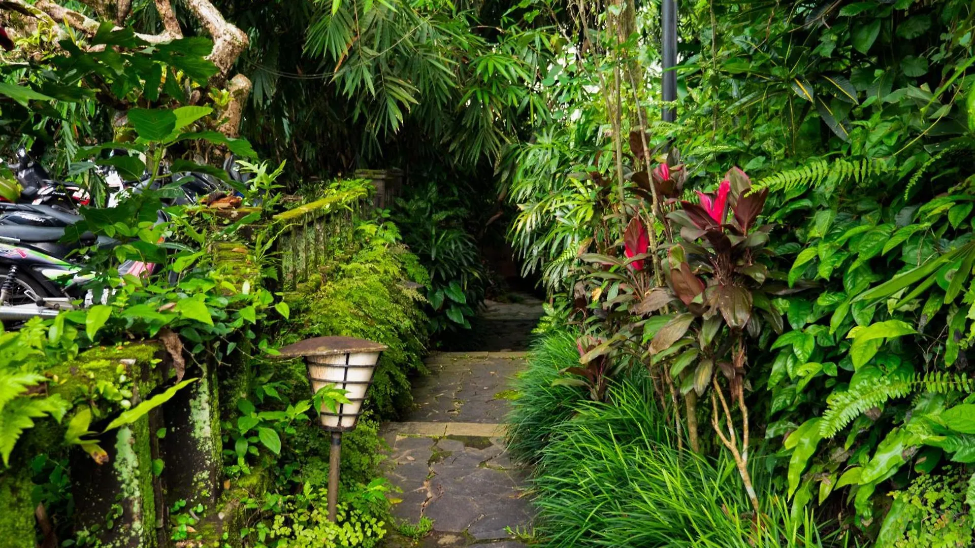 Heaven View 4 Bedroom Ubud Sayan Villa Ubud (Bali)