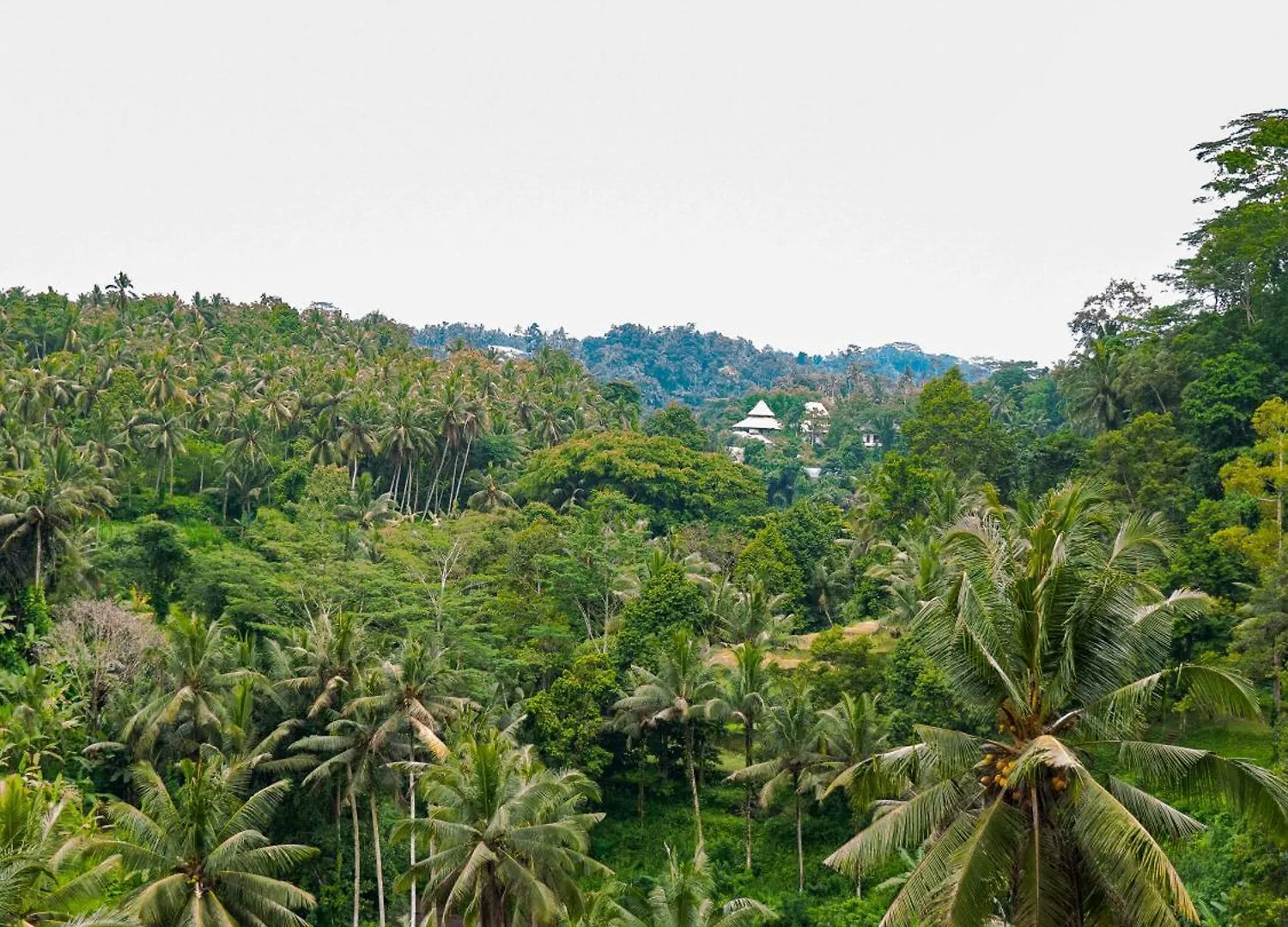 Villa Heaven View 4 Bedroom Ubud Sayan